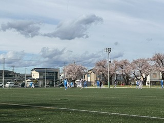 IMG_0191.jpg